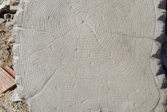 tipego_fatorzs_267067